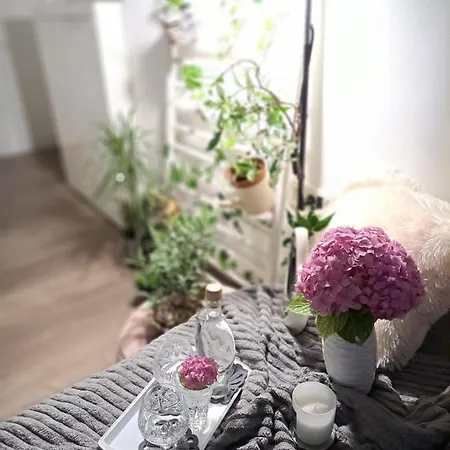 Natasha Apartmán Rijeka