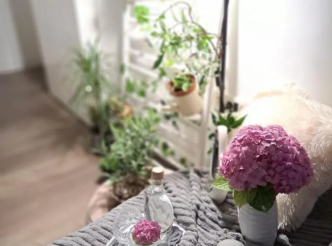 Natasha Apartament Rijeka